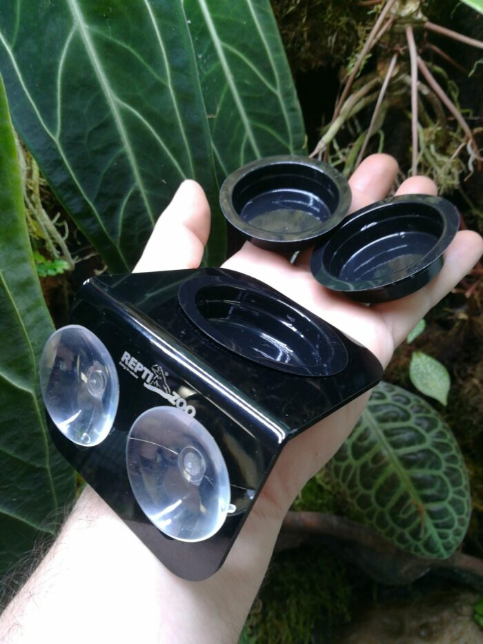 Pack "Mangeoire + recharge" pour gecko arboricole - Compatible Repashy et Pangea