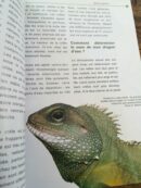 📖 Livre - Le Dragon d'eau - Physignathus cocincinus