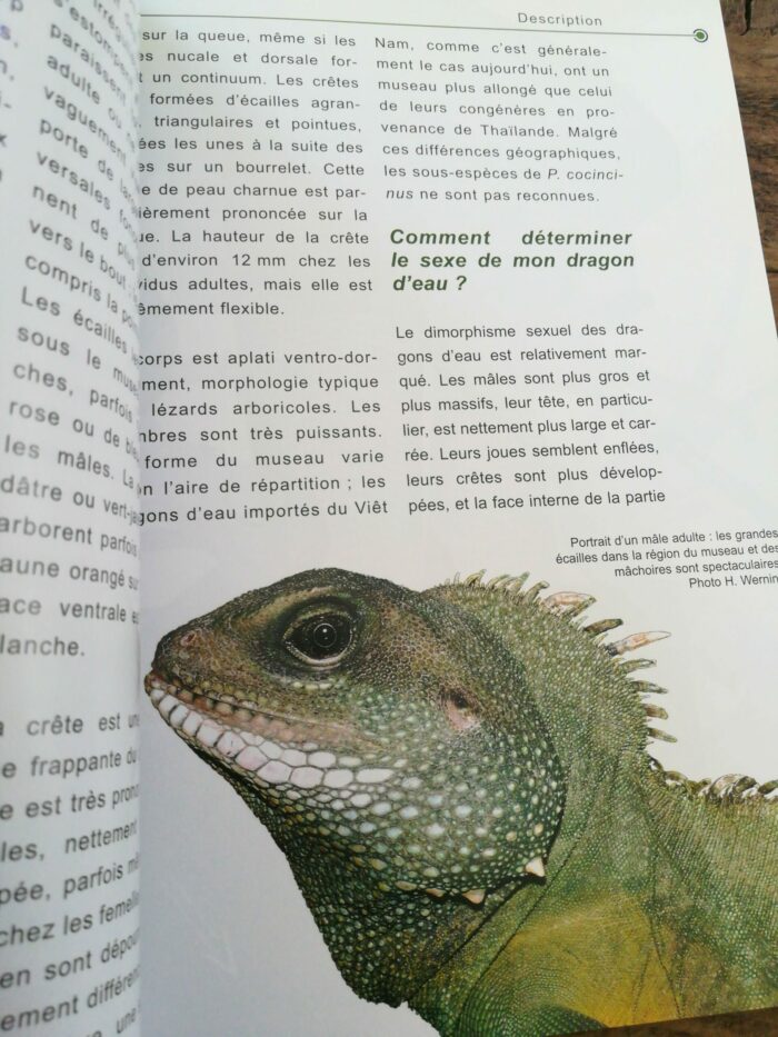 📖 Livre - Le Dragon d'eau - Physignathus cocincinus – Image 2