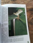 📖 Livre - Le Dragon d'eau - Physignathus cocincinus