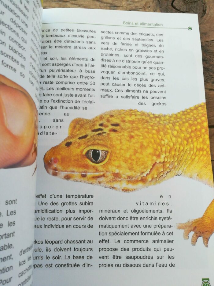 📖 Livre - Le Gecko Léopard - Eublepharis macularius – Image 2