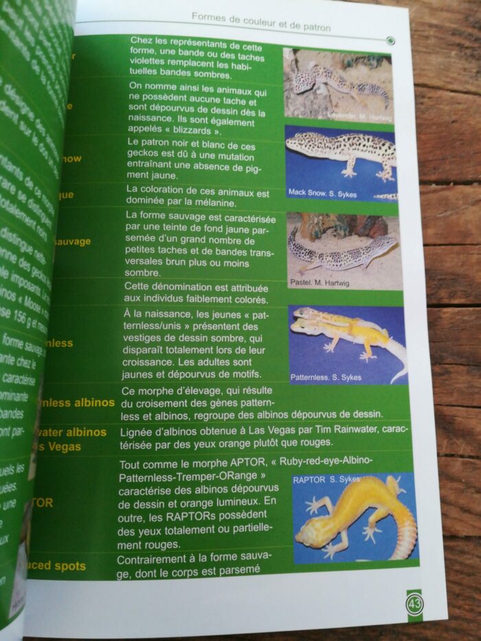 📖 Livre - Le Gecko Léopard - Eublepharis macularius – Image 3