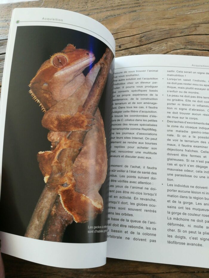 📖 Livre - Le Gecko à Crête - Rhacodactylus ciliatus – Image 2