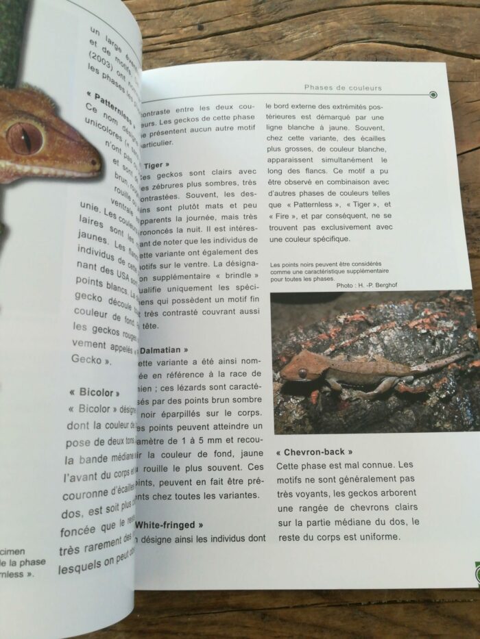 📖 Livre - Le Gecko à Crête - Rhacodactylus ciliatus – Image 3