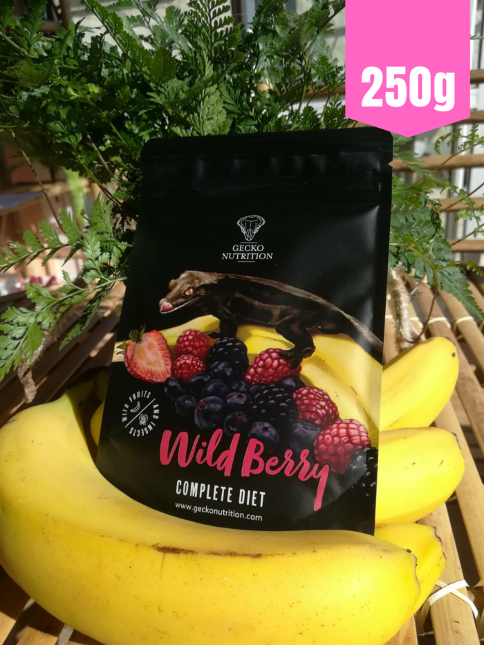 Gecko Nutrition "Fruits rouges" - Nourriture complète pour geckos 💪💪 Sachet de 250gr