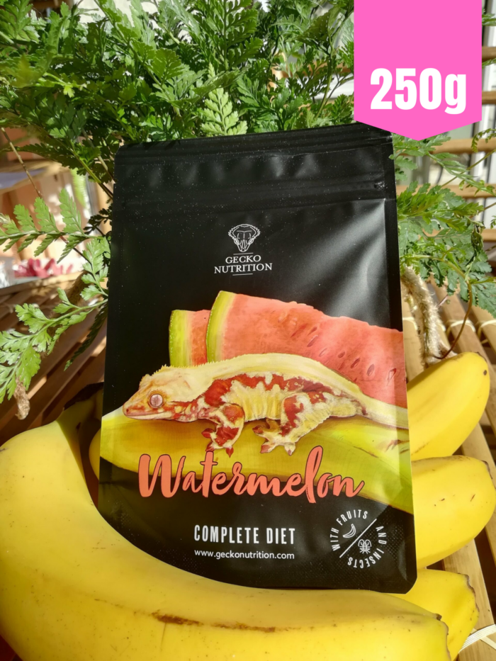 Gecko Nutrition "Pastèque" - Nourriture complète pour geckos  💪💪 Sachet de 250gr
