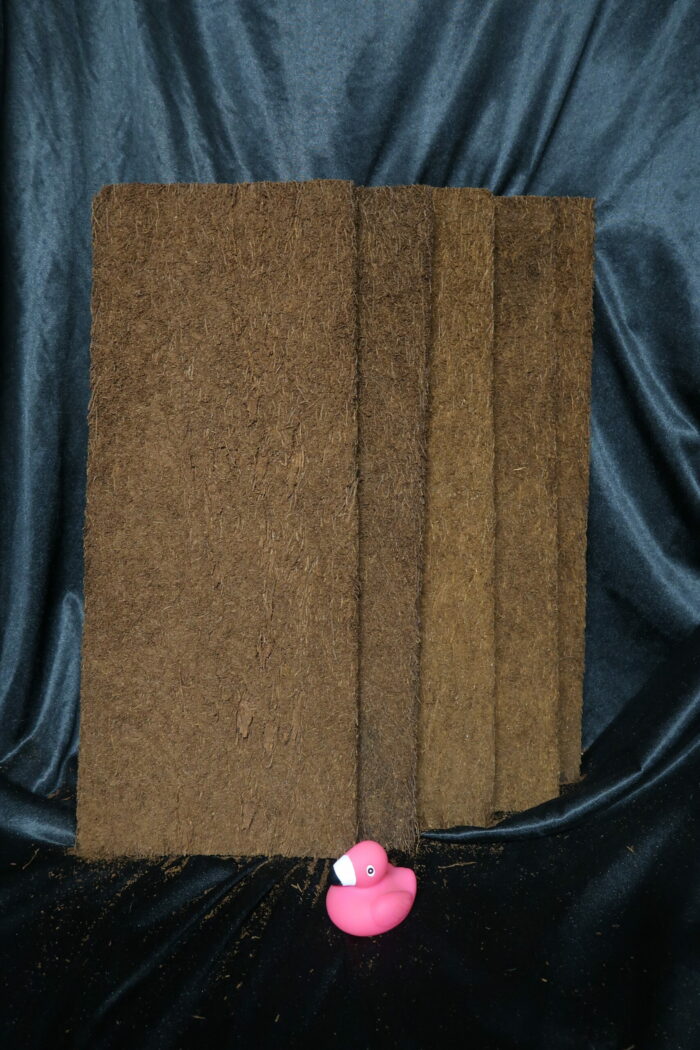 Plaque de Xaxim par lot de 5 - 50x20x1,5cm