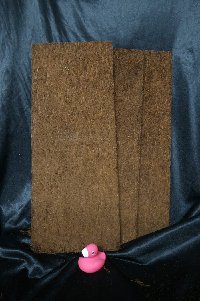 Plaque de Xaxim par lot de 3 - 50x20x1,5cm