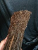 Xaxim – Tronc de fougère arborescente 30/40cm - Dicksonia Squarrosa