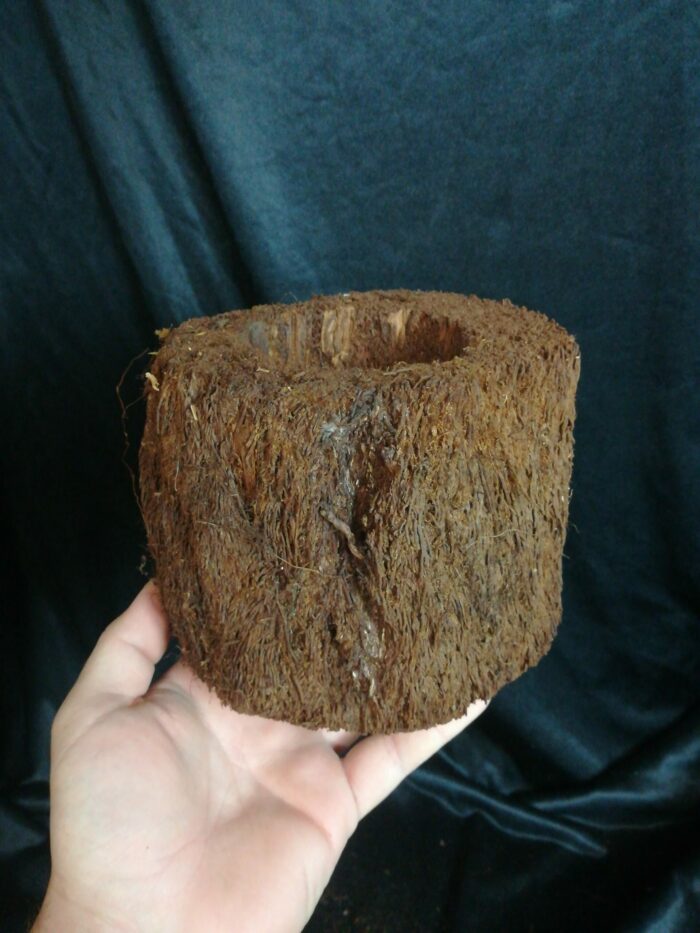 Pot en Xaxim - Taille S