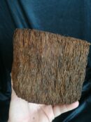 Pot en Xaxim - Taille S