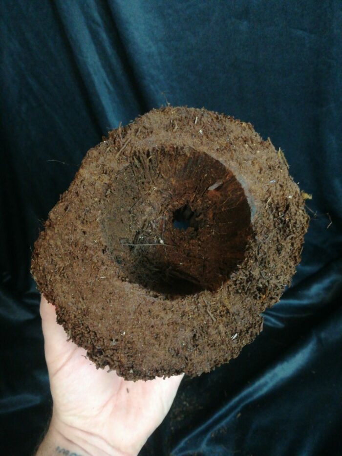 Pot en Xaxim - Taille S – Image 5