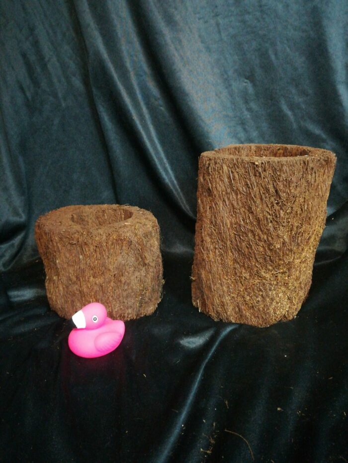 Pot en Xaxim - Taille S – Image 2