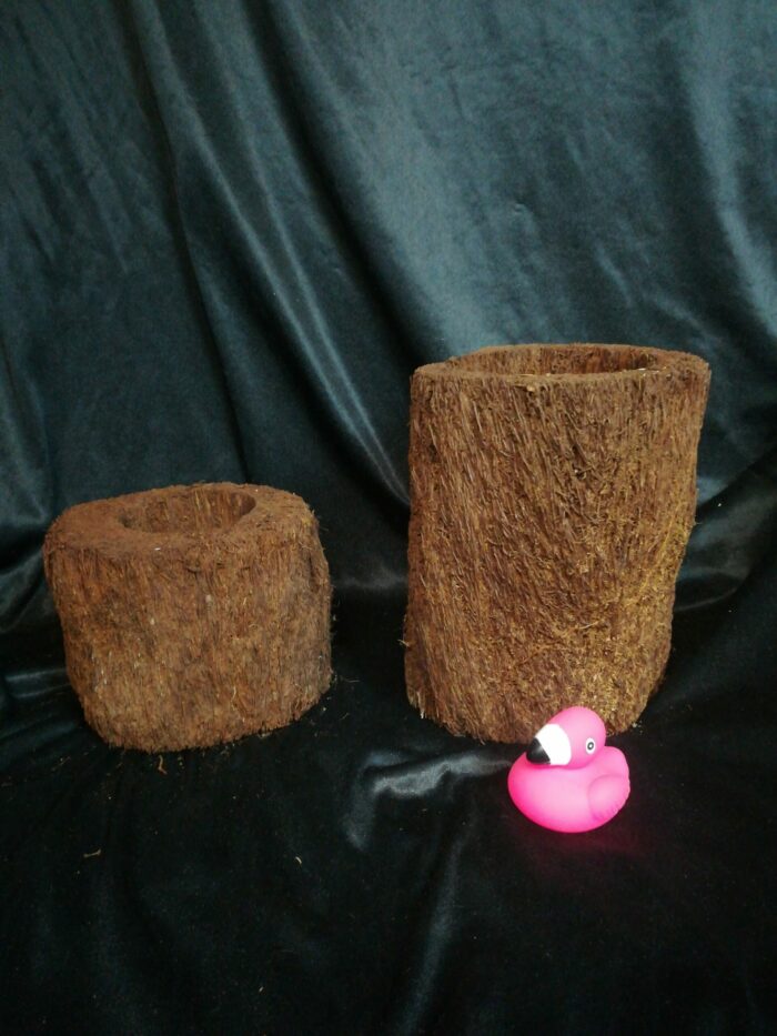 Pot en xaxim - Taille XL – Image 2