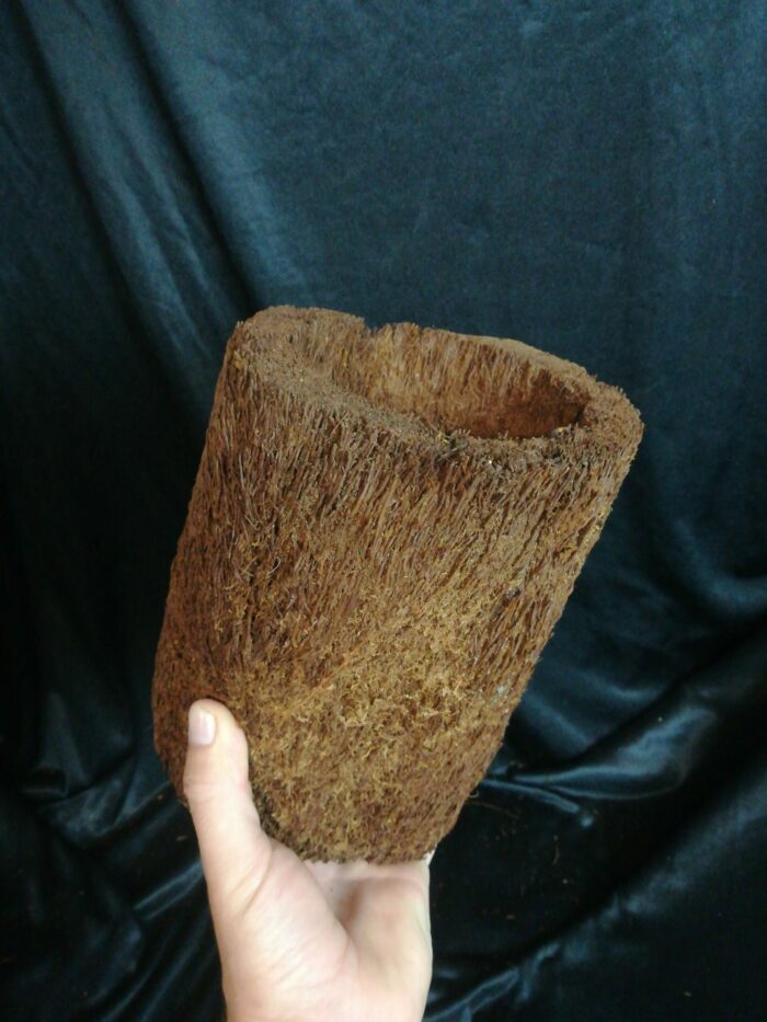 Pot en xaxim - Taille XL – Image 3