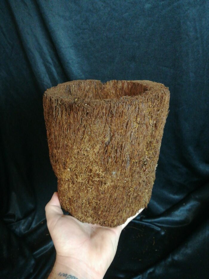 Pot en xaxim - Taille XL