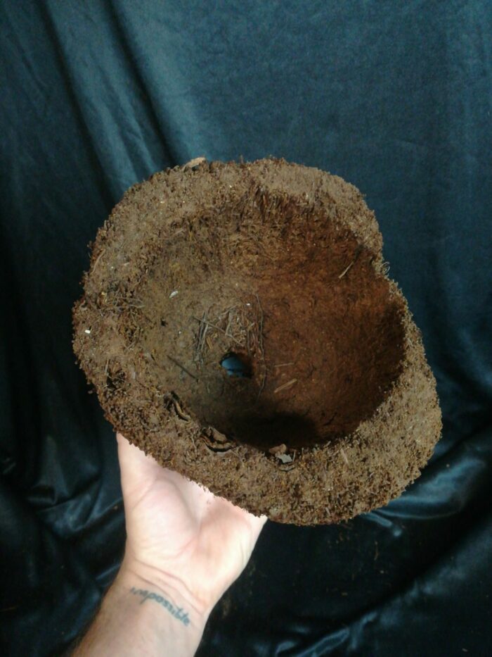 Pot en xaxim - Taille XL – Image 4