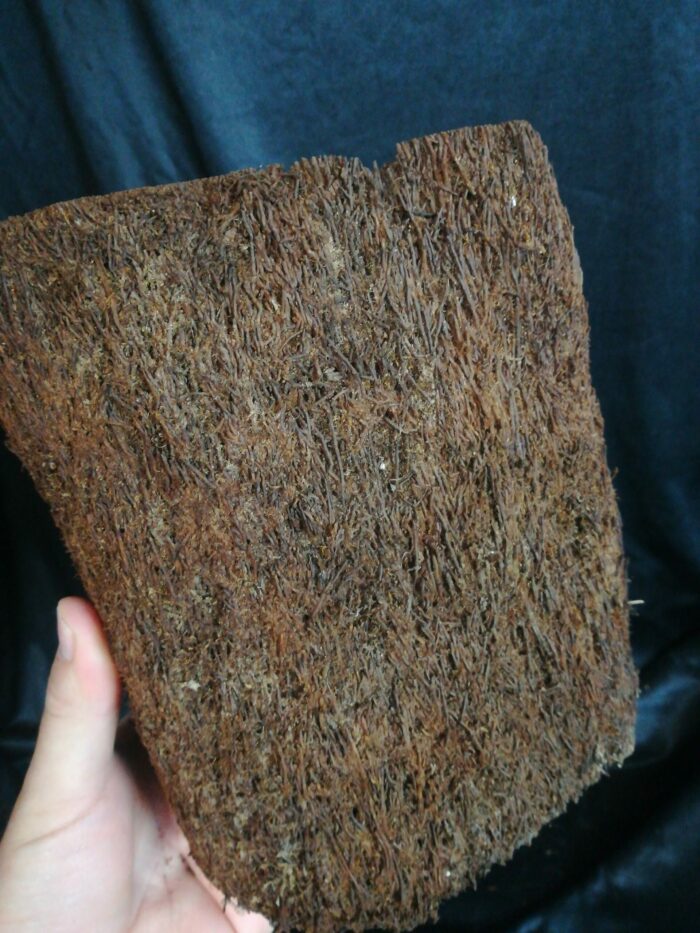 Pot en xaxim - Taille XL – Image 5