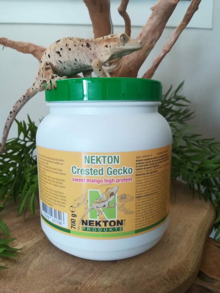 NEKTON Crested Gecko "Mangue" - Nourriture complète pour geckos 💪💪 Pot de 700g