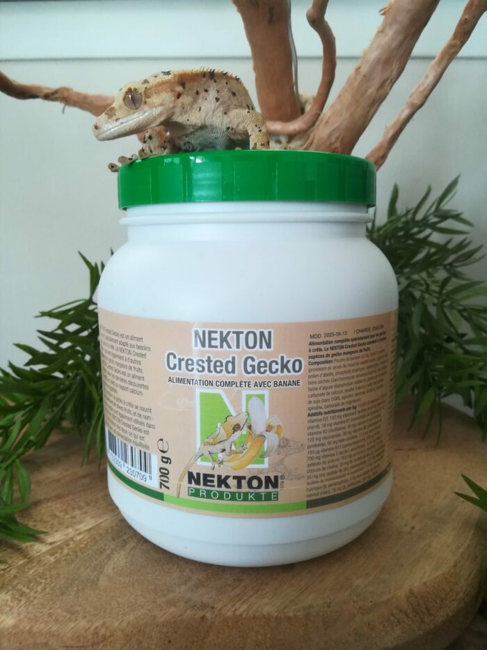 NEKTON Crested Gecko "Banane" - Nourriture complète pour geckos  💪💪  Pot de 700g