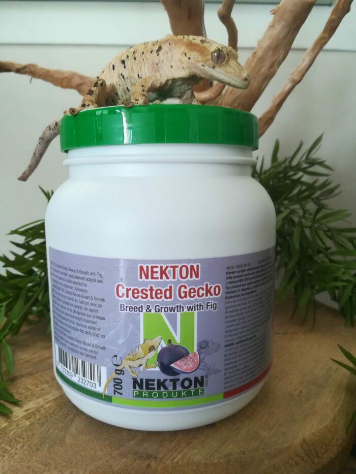 NEKTON Crested Gecko "Figue" - Reproduction & Croissance - Nourriture complète pour geckos 💪💪 Pot de 700g