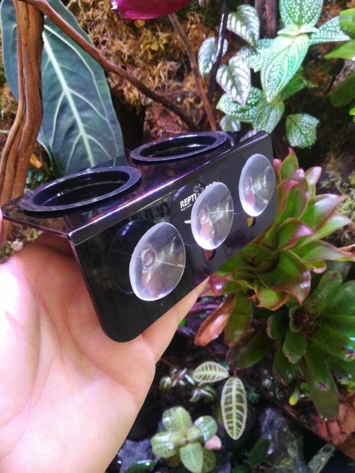 Mangeoire double avec ventouse pour gecko arboricole – Image 2