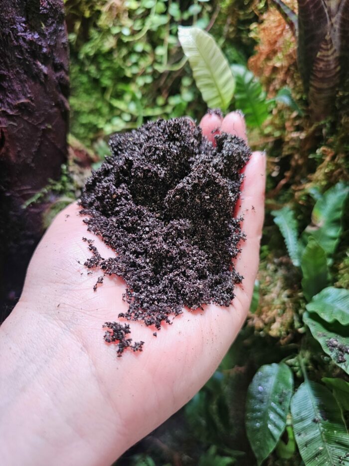 Substrat "Jungle bedding" pour terrarium tropical - Sac de 10 Litres de Lucky Reptile – Image 2