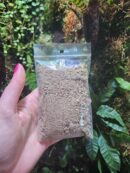 Moss mix - Mini sachet - Mélange de mousses tropicales