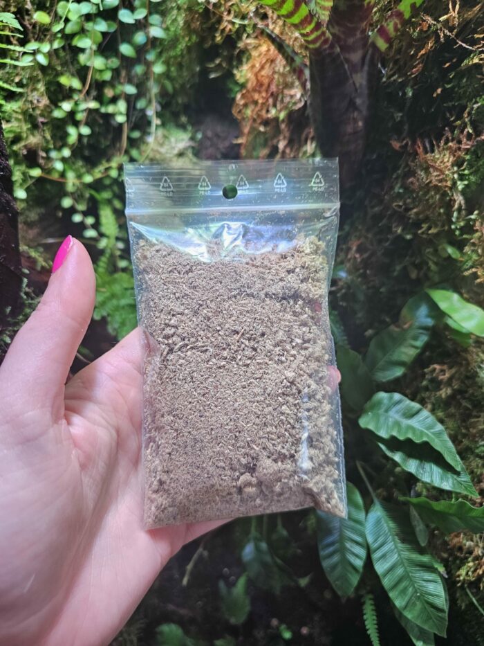 Moss mix - Mini sachet - Mélange de mousses tropicales