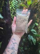 Moss mix - Mini sachet - Mélange de mousses tropicales
