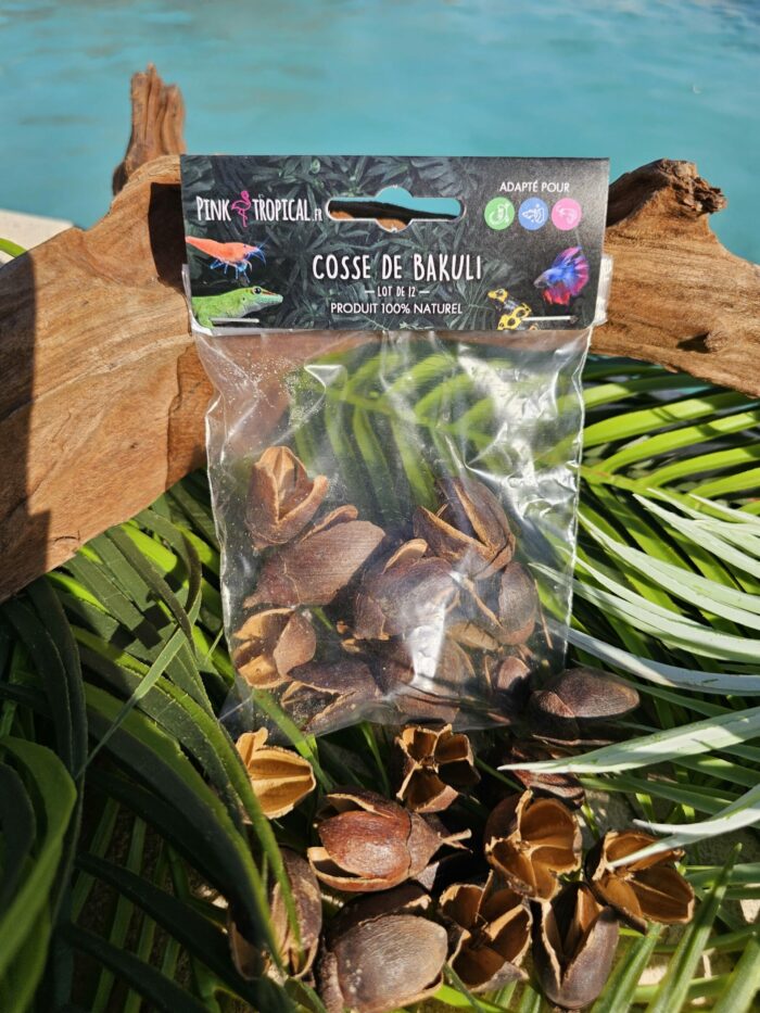 100% Naturel "Cosse de Bakuli" - Lot de 12
