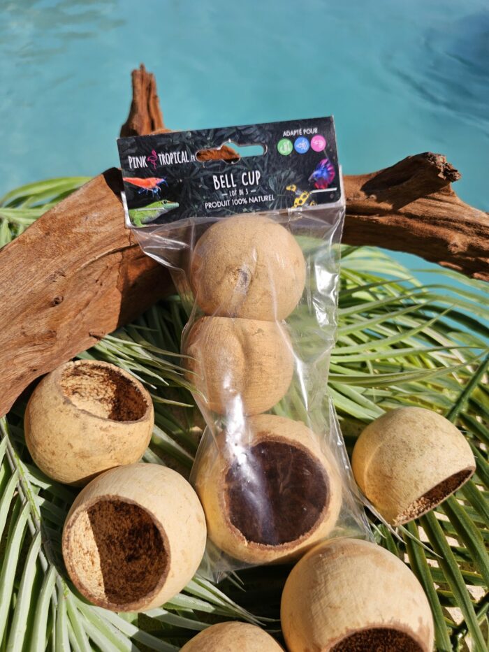100% Naturel "Bell Cup" - Lot de 3