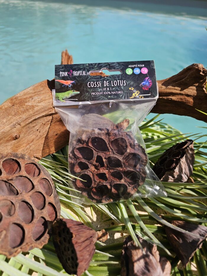100% Naturel "Cosse de Lotus" - Lot de 3