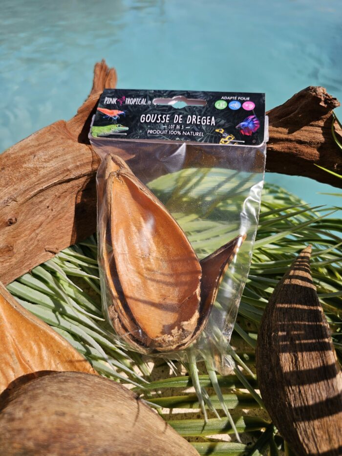 100% Naturel "Gousse de Dregea" - Lot de 3