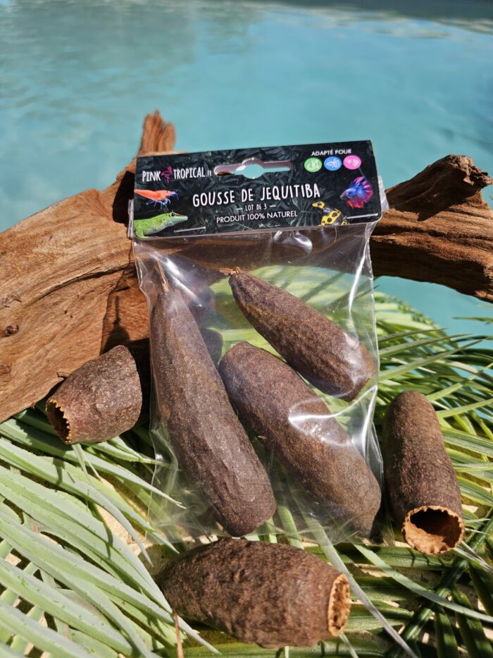 100% Naturel "Gousse de Jequitiba" - Lot de 3
