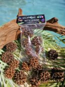100% Naturel "Fruits de liquidambar" - Lot de 6