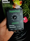 Thermostat Habistat "Dimming" - Adapté pour les ampoules chauffantes/uv