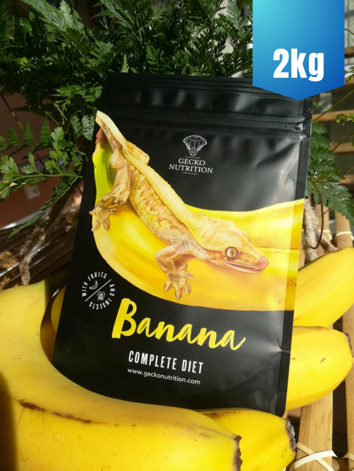 Gecko Nutrition "Banane" - Nourriture complète pour geckos 😲 Sachet de 2kg