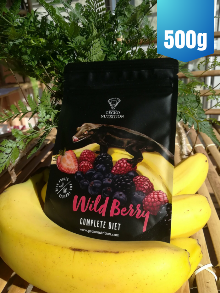 Gecko Nutrition "Fruits rouges" - Nourriture complète pour geckos 💪💪💪 Sachet de 500gr