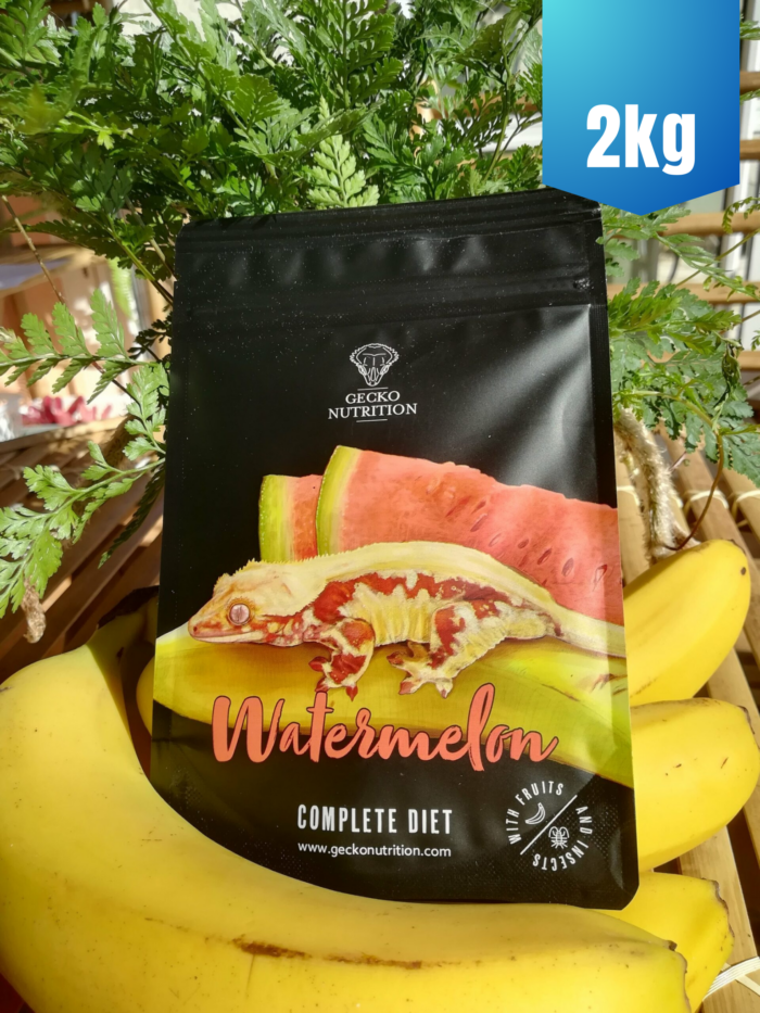 Gecko Nutrition "Pastèque" - Nourriture complète pour geckos 😲 Sachet de 2kg