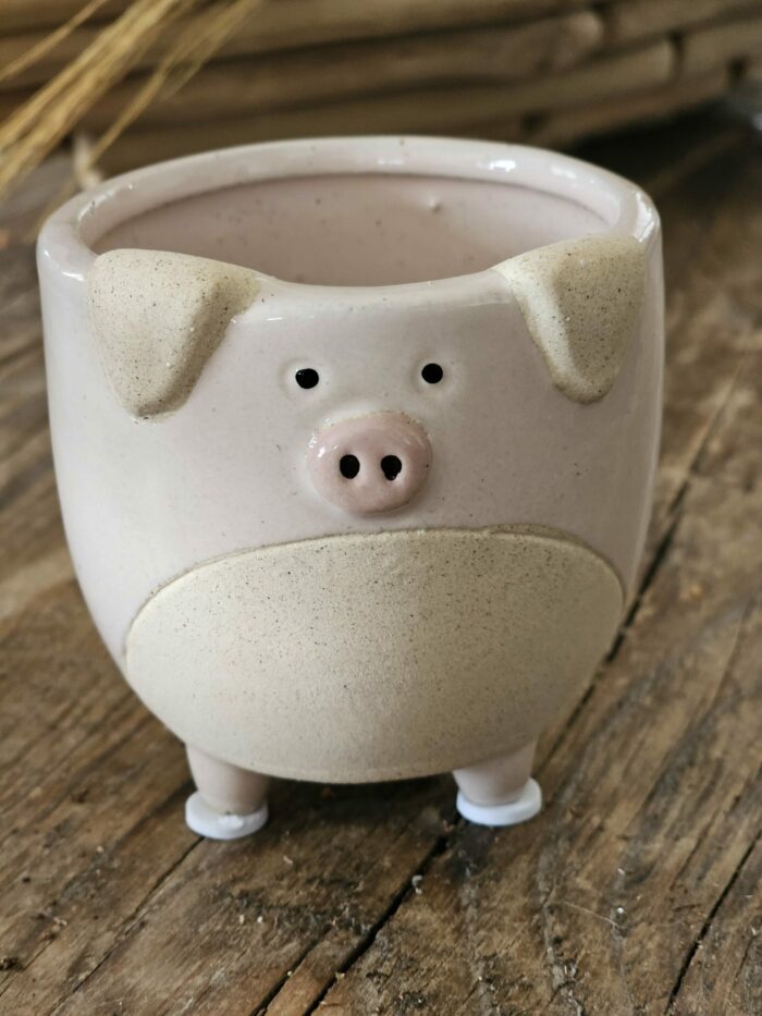 cache pot "Cochon"