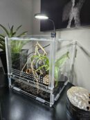 Petit éclairage pour terrarium en acrylique "LifeTarrium"
