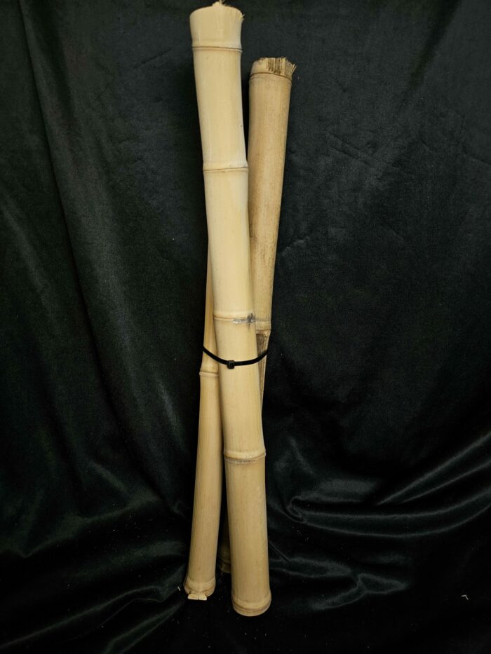 Lot de 3 bambou - Longueur 40/60 cm – Image 2