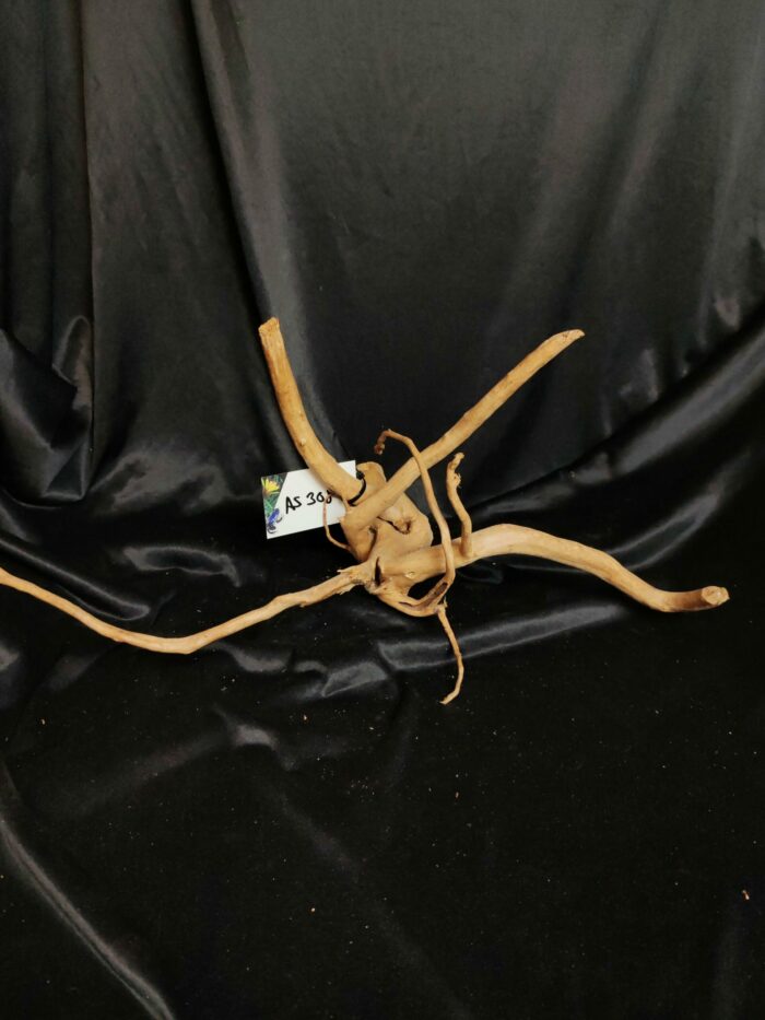 Racine asia/spiderwood A308 - 57x30x30cm – Image 2