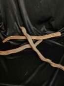 Liane naturelle pour terrarium - Environ 50/60cm de long