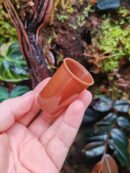 Boîte pour ponte des dendrobates - MARRON - Lot de 3