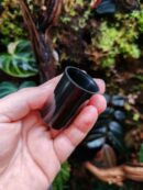 Boîte pour ponte des dendrobates - NOIRE - Lot de 3
