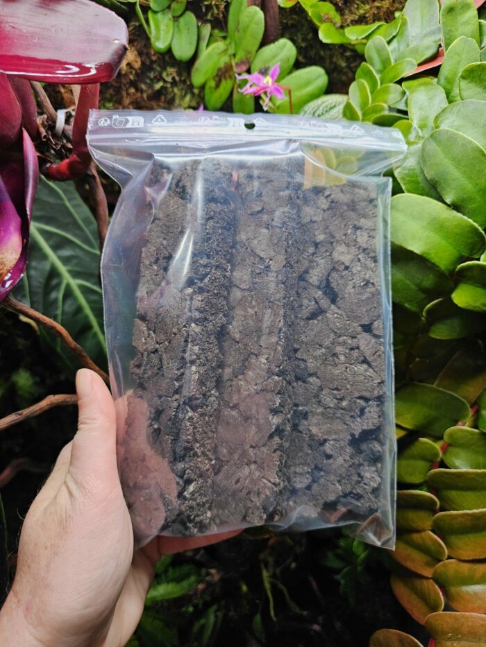 Lot de 3 supports en liège - Pour Orchidées, Neoregelia, Tillandsia...