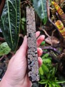 Lot de 3 supports en liège - Pour Orchidées, Neoregelia, Tillandsia...