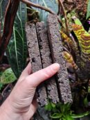 Lot de 3 supports en liège - Pour Orchidées, Neoregelia, Tillandsia...
